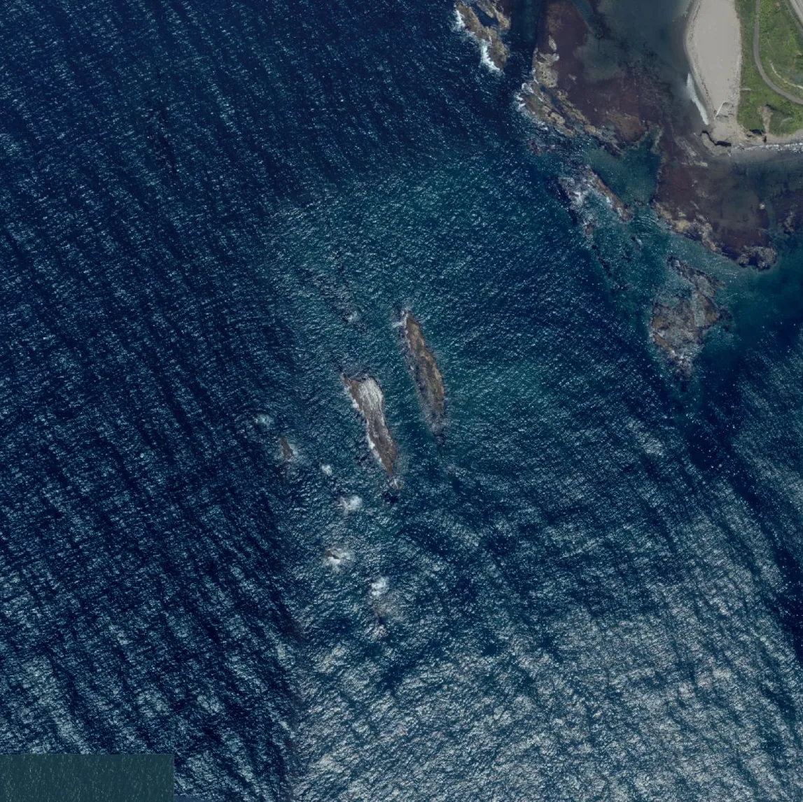 茶津ノ島の航空写真
