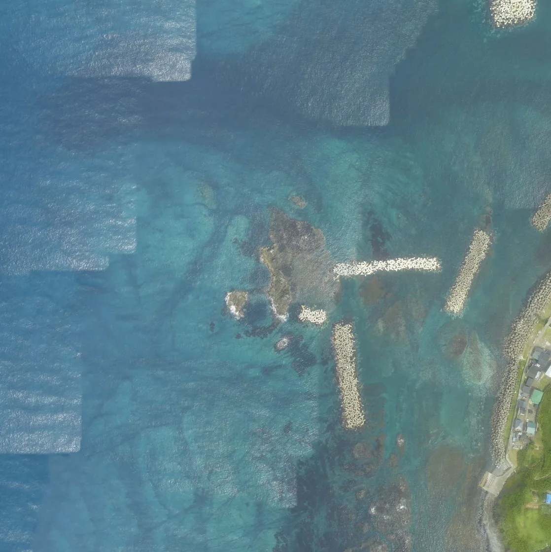 大岩の航空写真