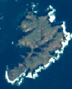 大島の衛星画像
