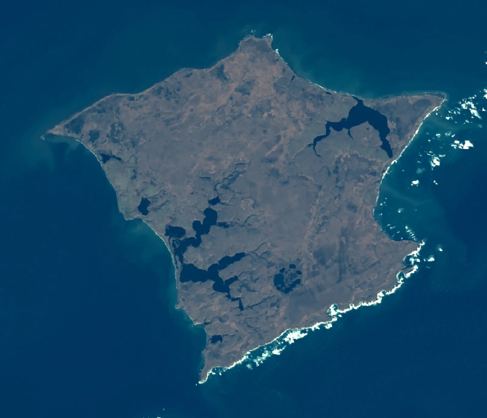 志発島の衛星画像