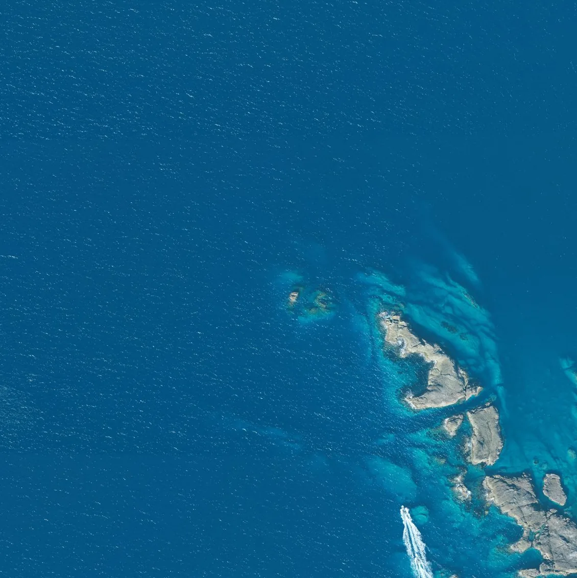 トド島の航空写真