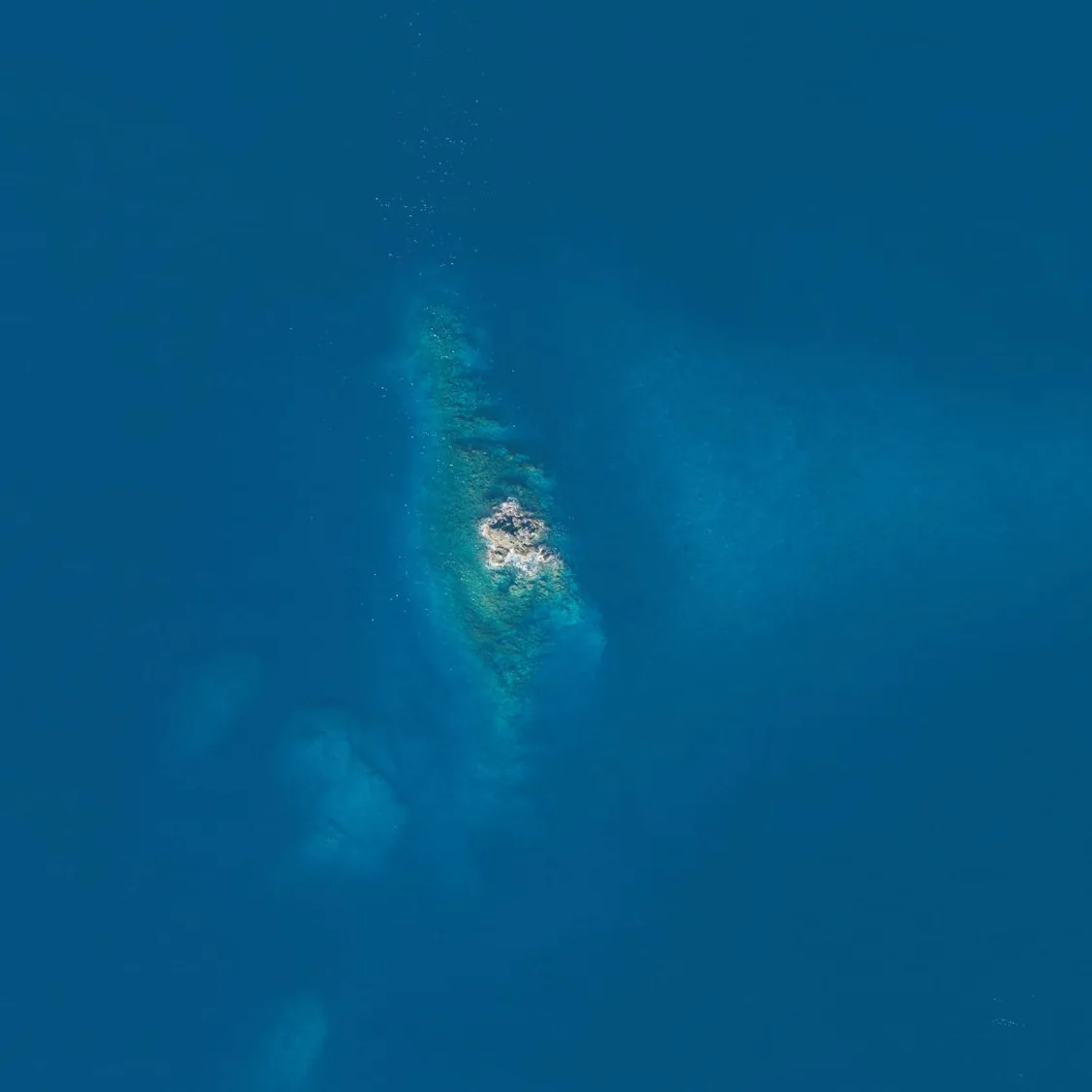 トド島の航空写真