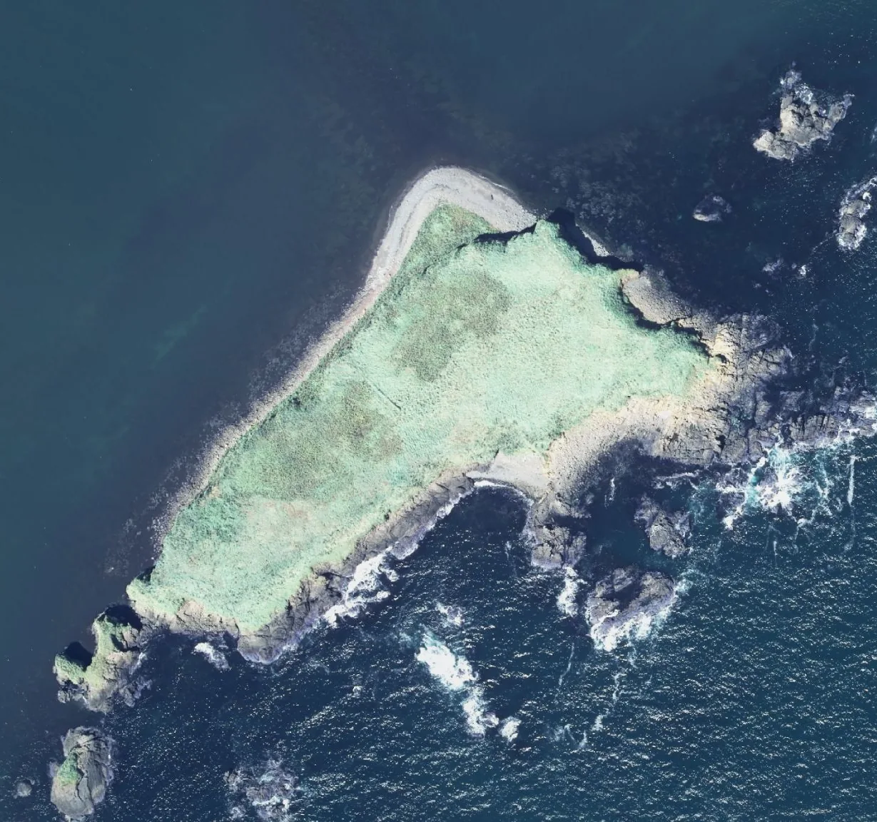 友知島の航空写真