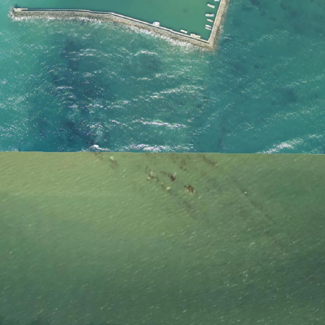 鵜苫南小島の航空写真